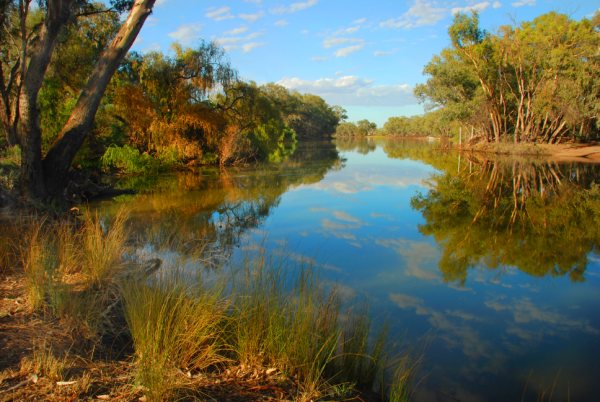 Bogan River